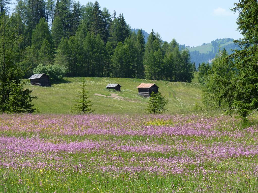 Ciasa Raut Apartman La Valle Kültér fotó
